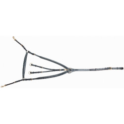 Pechopetral con puente T de T Negro