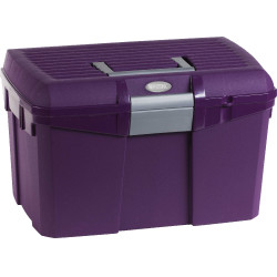 Caja de limpieza Norton Violeta / gris