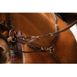 Entrenamiento Pénélope Howlett Havana Marrón