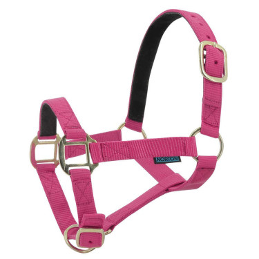 Cabezada de nylon forrada de cuero Frambuesa Cabezada de nylon forrada de cuero Frambuesa