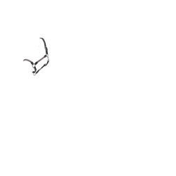 Cabezada LeMieux Ropella Lila Violeta