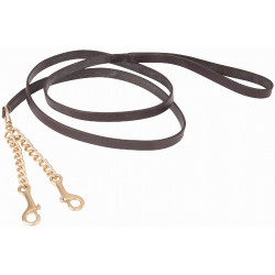 Ramal de presentación con cadena doble T de T Ramal de presentación con cadena doble T de T
