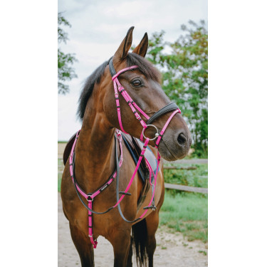 Bridon endurance NORTON - Pop Rosa
