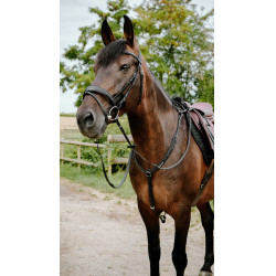 Bridon endurance NORTON - Pop