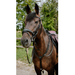 Bridon endurance NORTON - Pop Negro