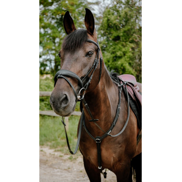 Bridon endurance NORTON - Pop Negro