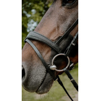 Bridon endurance NORTON - Pop Negro