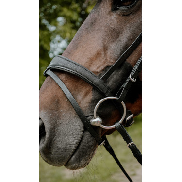 Bridon endurance NORTON - Pop Negro