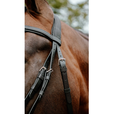 Bridon endurance NORTON - Pop Negro