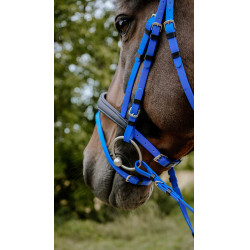 Bridon endurance NORTON - Pop Azul real