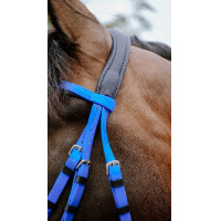 Bridon endurance NORTON - Pop Rosa