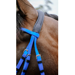Bridon endurance NORTON - Pop Azul real