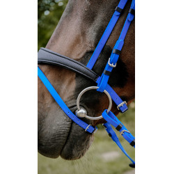 Bridon endurance NORTON - Pop Azul real