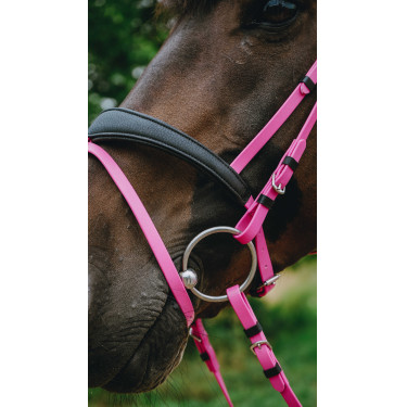 Bridon endurance NORTON - Pop Rosa