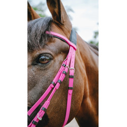 Bridon endurance NORTON - Pop Rosa