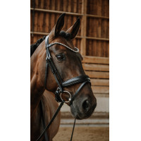 Bridon NORTON - Diams Negro