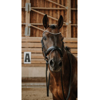 Bridon NORTON - Diams Negro