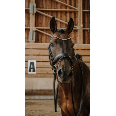 Bridon NORTON - Diams Negro