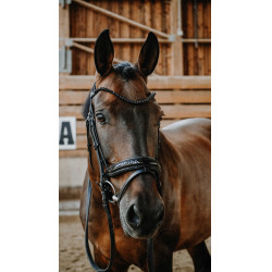 Bridon NORTON - Royal Negro
