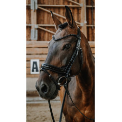 Bridon NORTON - Royal Negro
