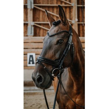 Bridon NORTON - Royal Negro