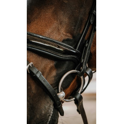 Bridon NORTON - Royal Negro