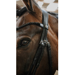 Bridon NORTON - Royal Negro