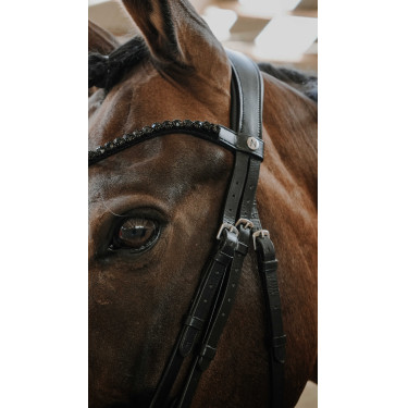 Bridon NORTON - Royal Negro