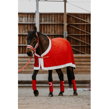 Chemise EQUITHÈME - Xmas