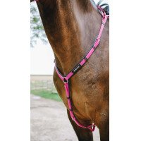 Collier de chasse Endurance NORTON - Pop Rosa