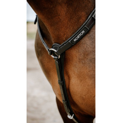 Collier de chasse Endurance NORTON - Pop Negro Collier de chasse Endurance NORTON - Pop Negro