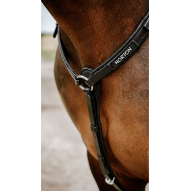 Collier de chasse Endurance NORTON - Pop Negro Collier de chasse Endurance NORTON - Pop Negro