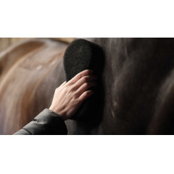 Esponja LAMI-CELL – Shine Scrubber Negro Esponja LAMI-CELL – Shine Scrubber Negro