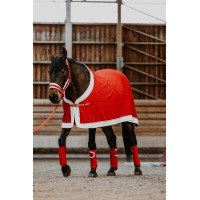 Licol + longe EQUITHÈME - Xmas Roja Rojo