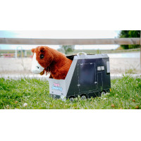 Mini-poney Jumpy - PONY ACADEMY Naranja Mini-poney Jumpy - PONY ACADEMY Naranja