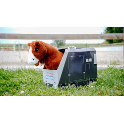 Mini-poney Jumpy - PONY ACADEMY Naranja Mini-poney Jumpy - PONY ACADEMY Naranja