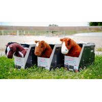 Mini-poney Jumpy - PONY ACADEMY Naranja Mini-poney Jumpy - PONY ACADEMY Naranja