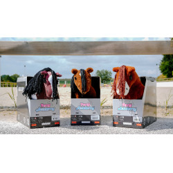 Mini-poney Jumpy - PONY ACADEMY Naranja Mini-poney Jumpy - PONY ACADEMY Naranja