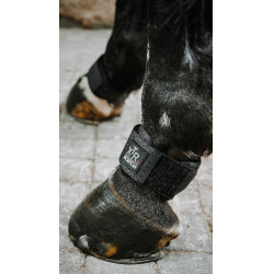 Protège paturon NORTON - XTR Gel