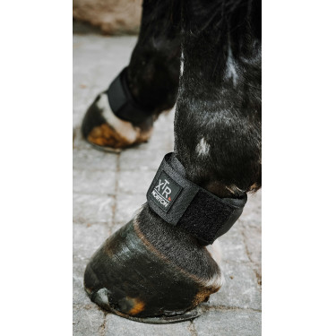 Protège paturon NORTON - XTR Gel