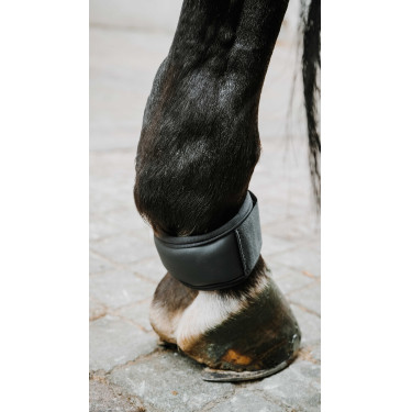 Protège paturon NORTON - XTR Gel Negro