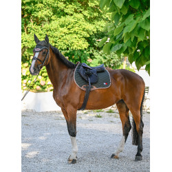 Mantilla de salto Tommy Hilfiger Equestrian Princeton Pasador