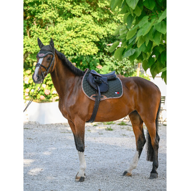 Mantilla de salto Tommy Hilfiger Equestrian Princeton Pasador