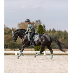 Almohadilla para silla de montar Waldhausen Nepal Azul plateado