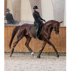 Manta de montar Waldhausen Philadelphia Marrón verde Manta de montar Waldhausen Philadelphia Marrón verde