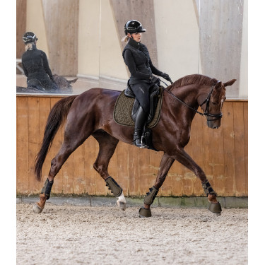 Manta de montar Waldhausen Philadelphia Marrón verde Manta de montar Waldhausen Philadelphia Marrón verde