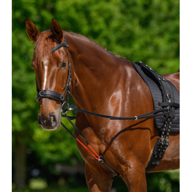 Riendas triangulares W-train Waldhausen Negro