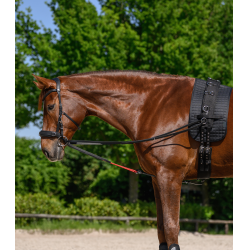 Riendas triangulares W-train Waldhausen Negro