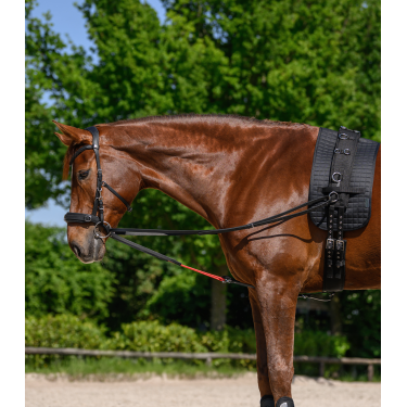 Riendas triangulares W-train Waldhausen Negro