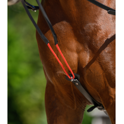 Riendas triangulares W-train Waldhausen Negro